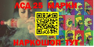 крисы Моздок