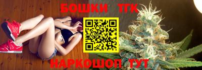 крисы Моздок