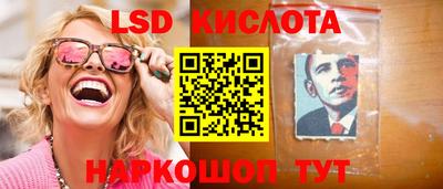 крисы Моздок