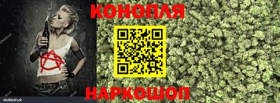 крисы Моздок