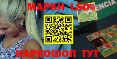 крисы Моздок