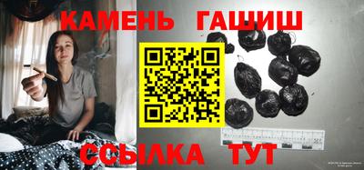 крисы Моздок