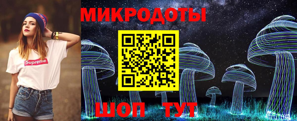 Галлюциногенные грибы Psilocybine cubensis Улан-Удэ