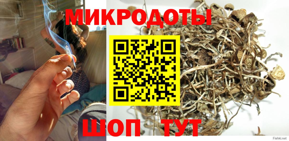 Галлюциногенные грибы мицелий  Вход с VPN  Улан-Удэ 